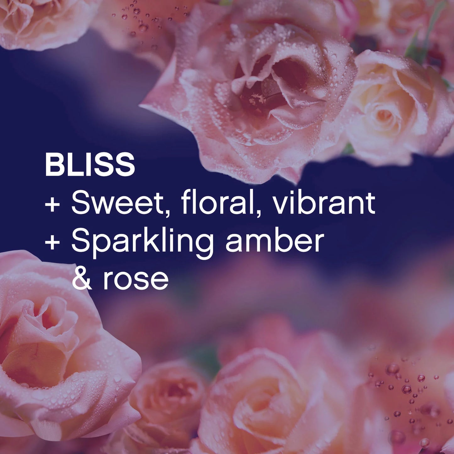 Downy Infusions In-Wash Scent Booster Beads, Bliss, Sparkling Amber and Rose (37.5 oz.)