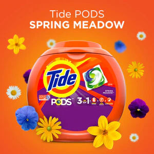 Tide Pods HE Laundry Detergent Pods, Spring Meadow, 42-count, 4-pack (168 Loads)